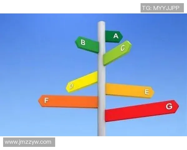 在关键时刻做出明智选择的重要性与不可避免性