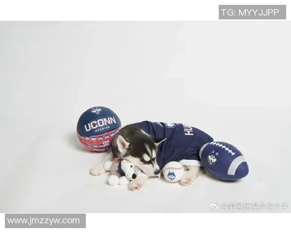 康涅狄格大学球员脚踩哈士奇PE球鞋引发媒体热议