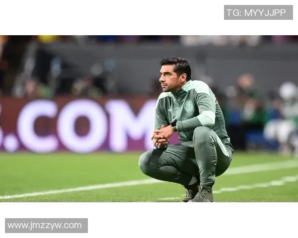 帕尔梅拉斯正式向阿尔马达报价交易进展顺利