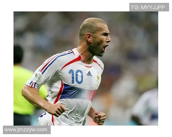 多梅内克回忆齐达内事件并谈国脚选拔背后的思考与决策